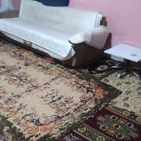 Kreyine jay ýalkym wifi ba