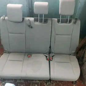 haylandr sdenya tazeje