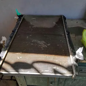 avalon 99 radiyatur wiltilyr