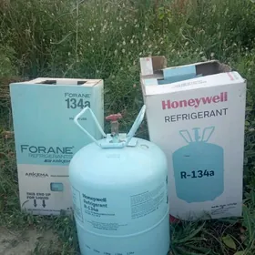 RRIONYN°° BO$ GABY