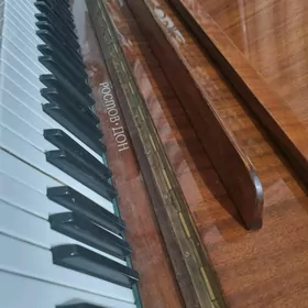 pianino