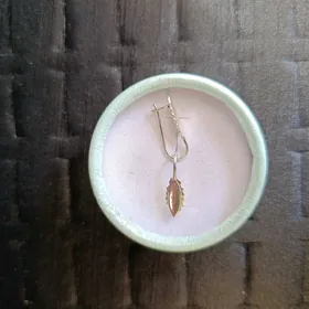 Kumush halkalar detski