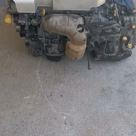 sienna mator karobka