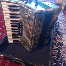 Аккордеон/ Akkordeon