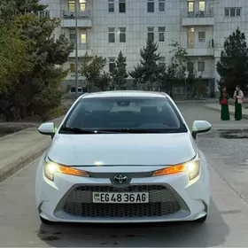Toyota Corolla 2020