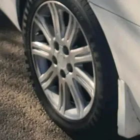 Лимитет. 1  дисга  пакрышга