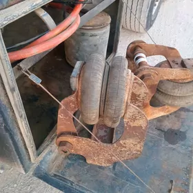 Ewki mos galdyrÿançy