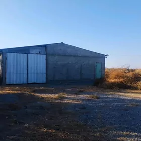 Köliñ gapdaly 15 gektar ýer