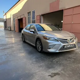 Toyota Camry 2019