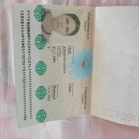 pasport yitdi