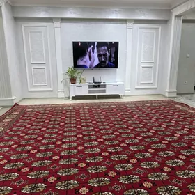 Arenda jay Gurtly Elitka