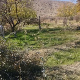 Gokdepe 3- nji daça ýer