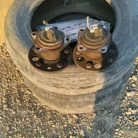 ступисса сена