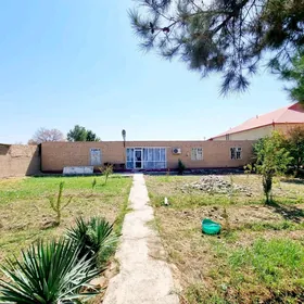 howly 3 yyl garaşykly