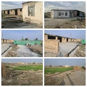 фермерское хозяйство