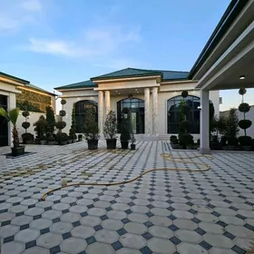 Gunlik Anew Howly 4kom