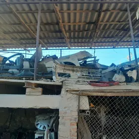 Volkswagen zapjaslar