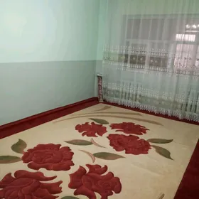 buzmeyin 40 yylyk 16 sotok jay