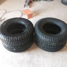 235.85.16. Pakryşga.