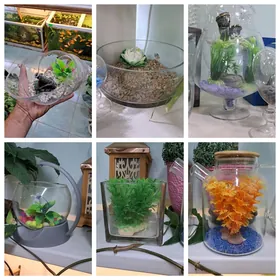 мини аквариумы