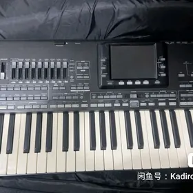 Korg Pa3X