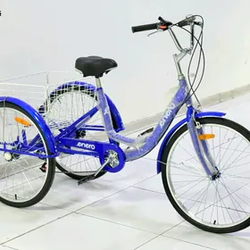 TIGIR SAMAKAT KALYASGA MASYN