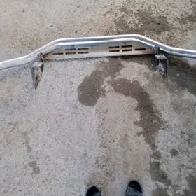 Toyota Hilux önünde duryan zat