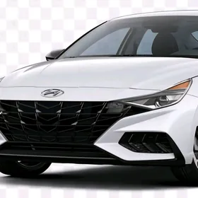 Elantra Nikel Bezegler