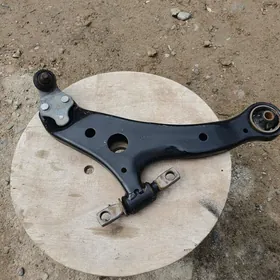 Reçak palta sag tarap.