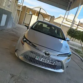 Toyota Corolla 2019