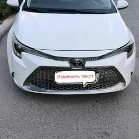 Toyota Corolla 2020