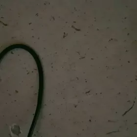 Camry maşynyn daşky rameni