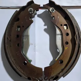 MORDA BARABAN KOLOTKA