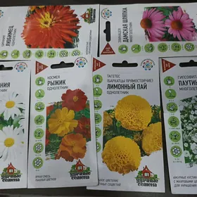 гул gul tohum тохум