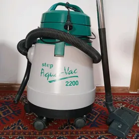 plesos pelesos плесос