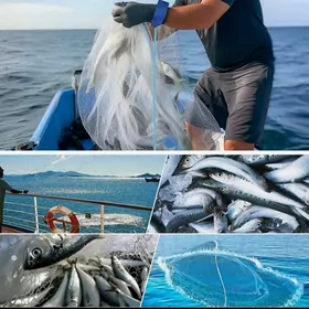 paraşut setga aw balyk рыба lo