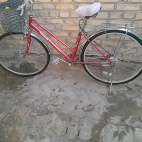 welosiped gulyaly yagday