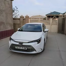 Toyota Corolla 2021