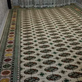 Haly tùrkùñ yùñ halysy