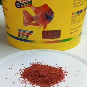 корм для рыб