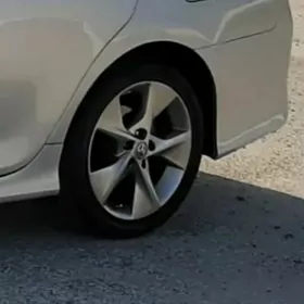 Plata limited diska 18R