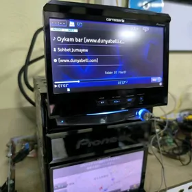 Pioneer carrozzeria çykýan EHO