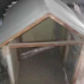 itin oyi gujugiñ oyi domik