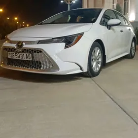 Toyota Corolla 2021