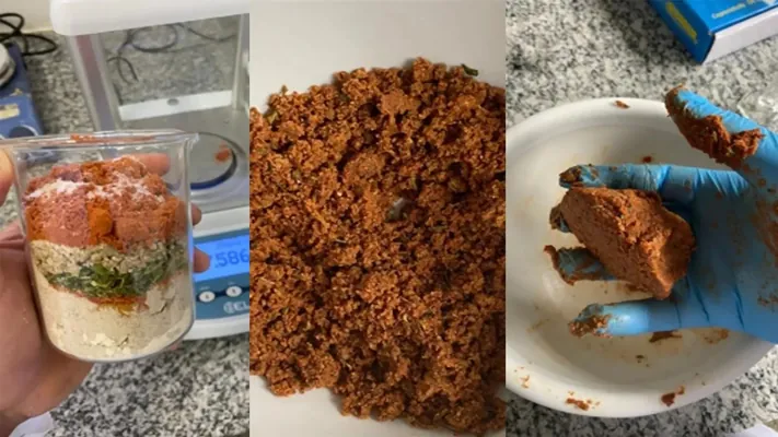 Alymlar günebakar unundan düzüminde köp mukdarda belok saklaýan et önümini döretdiler