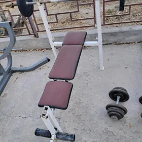 Döş işlenýan trenazor