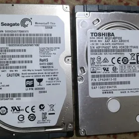 320GB Žostkiý disk