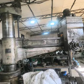 frezirni. siwirlinni