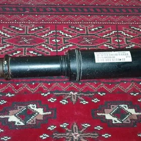 haÿlukus kici kardan