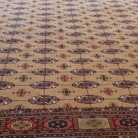 Haly altyn çitim  Türkie